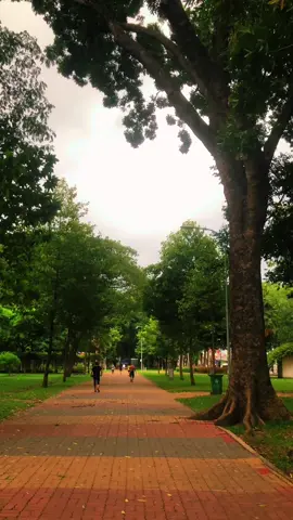 Cùng đi Công viên Gia Định Gò Vấp với David nha #congvien #congviengiadinh #congviencayxanh 