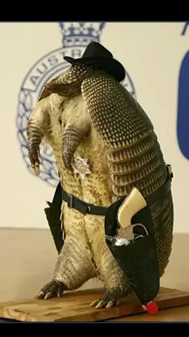 🤠🍐ANDOR JUNIOR ES INMORTAAAAAAAAAAAAAAAAAAAAAL 🤠🍐#armadillo #humor #fyp #informacion #meme #parati #parati #Minecraft #mobs #mob #quirquincho #bolivia #brasil #argentina #pelota #mundial #latinoamerica #viral #viralvideo #viraltiktok