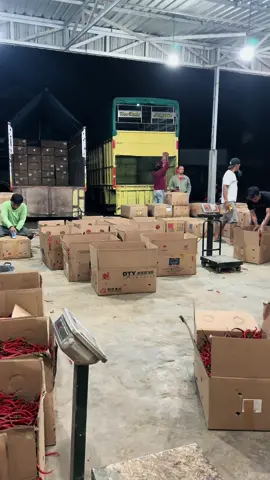 #pesonatrukindonesia #cabe #bakullombok🌶🌶 #fypシ゚viral 