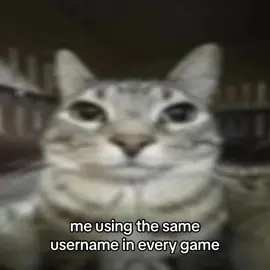👅👅 #cat #cats #sillycat #catsoftiktok #cute #real #games #gaming 