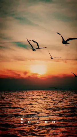 #يلي_طير_حبك_مانغالي#💔 #عتابا #جعفر_محمد #👑 #ابو_مالك#🔥 #عتابات #جبلية #ساحلية #💔 