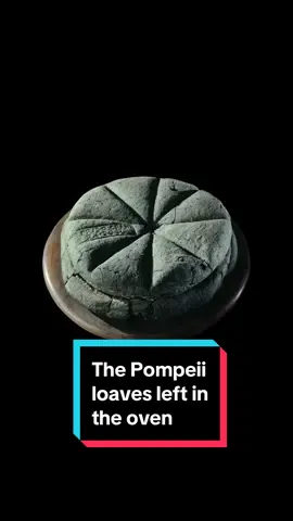 The Pompeii loaves that were never eaten 😢 #archaeology #pompeii #History #ancienthistory #ancientrome #romanempire #LearnOnTikTok #learn #interesting #archaeologist #sad #fyp #viral 