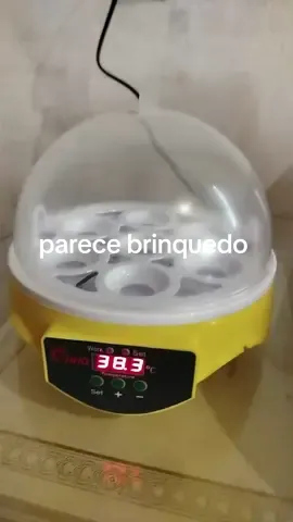 mini chocadeira #amigos #chocadeira #experiencia #dica #vidasimples #fy 