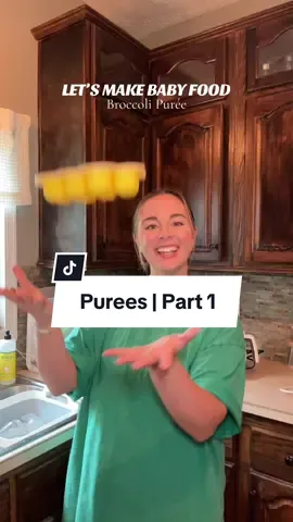 BABY PURÉE JOURNAL has begun! #babypuree #babyfood #babyfoodprep #homemadebabyfood 