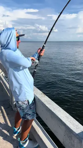 One Bait One Fish!! Gag Grouper #skywaymisfits #fishlikemisfits #foodforthefeesh #reelqualitysra #bajiosunglasses #fishermansidealsupply #gaggrouper #gag #grouperfishing #grouper #skywayfishingpier #bridgefishing #tampabay #florida #livebait #sharkvato #Svcustom #fish #fishing 