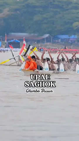 upae saghok ghimbo dusun 2014 sahabat rm setia kawan  #pacujalurkuantansingingi #pacujalur #pacujalurviral #tradisi #foryoupage #foryou #fypage #fypシ #fyp #trending #tiktok 