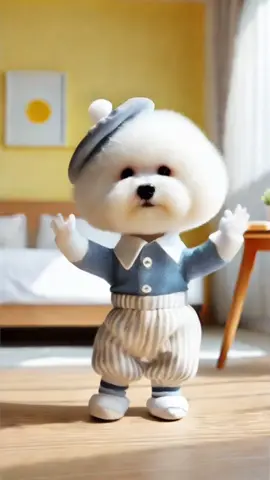 Bichon Frise Dog Tiramisu Dance #bichonfrise #dog #tiramisu #dance #t라미숙해 #tiramisucake #dogdance #티라미수 