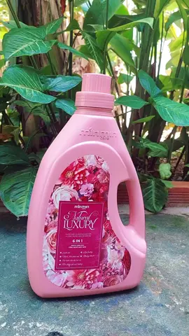 nước giặt min min care #nuocgiat #nuocgiatminmincare 