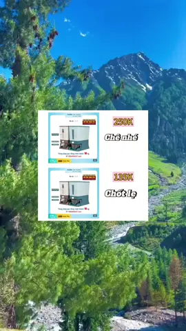 Thùng đựng gạo thông minh #dogiadung #dodungtienich #bigmaxgiadung #xuhuong #vairal #thungdunggao #thungdunggaothongminh 