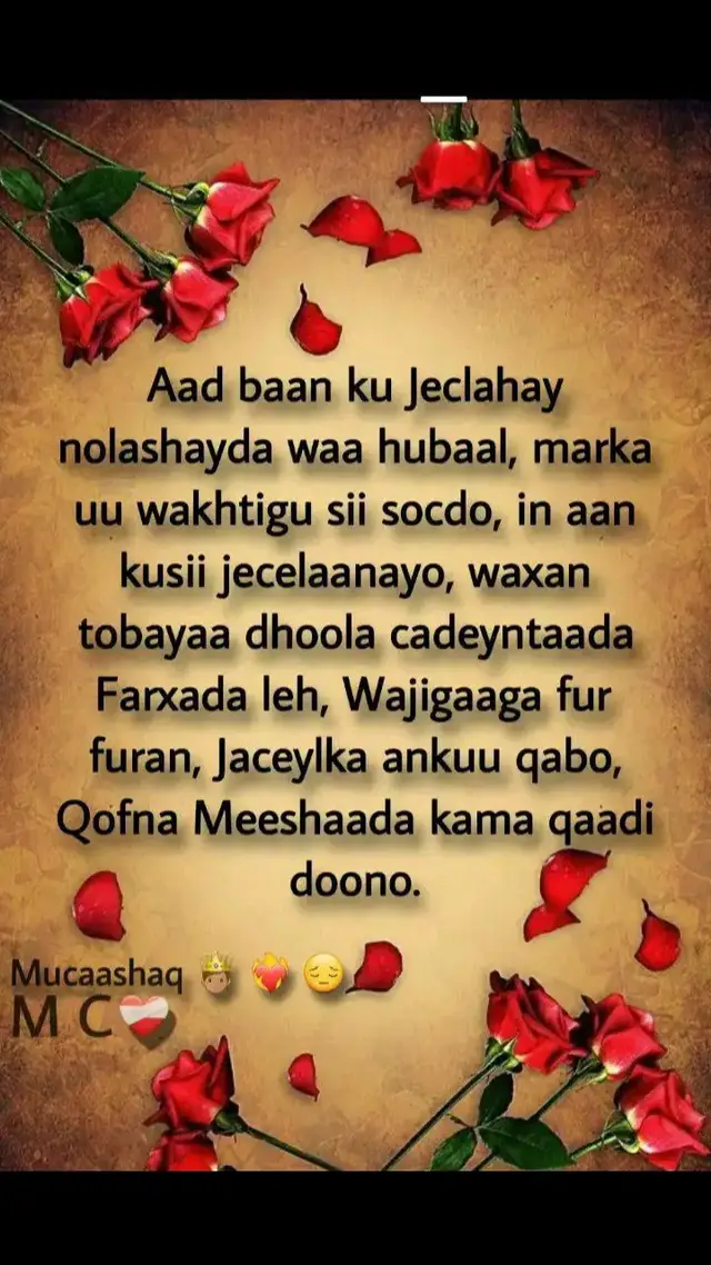 #somalilandtiktok #somalitiktok @FaaraxMurtiileOfficial@SACAD JUMAICA 🫵 me or hum@SOMALI HOME IMPROVEMENTS @Mabsuud Dagan @XAJI XARAABE37OOG✪ⓈⓈⒷ 📶🛜✅    🌹🔥🌹🔥🔥🌹🔥🌹🔥🌹🔥🌹🌹🌹🫂❣️🫂🫂❣️🫂❣️👑❣️👑❣️💕❣️👑❣️👑❣️👑❣️👑❣️ 🌹🔥🌹🔥🔥🌹🔥🌹🔥🌹🔥🌹🌹🌹🫂❣️🫂🫂❣️🫂❣️👑❣️👑❣️💕❣️👑❣️👑❣️👑❣️👑❣️👑👑❣️