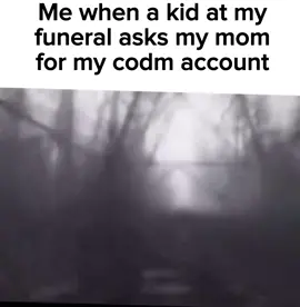 You dey whine #codm #meme #codmmemes #goviral #codmlandlord 