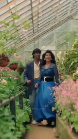 Sun Meri Shehzaadi 👉👩‍❤️‍👨💞 #kumarsanu #alkayagnik #dilwale #sunmerishehzaadi #viral #trending #fyp #foryou 