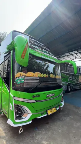 Clean look 😎 #msmasyrof #msmafawisata #tuanmuda #fyp 