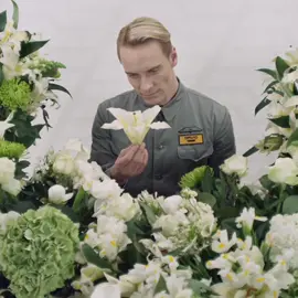 Hello, I’m David #prometheus #prometheusedit #david8 #david8edit #edit #michaelfassbender 