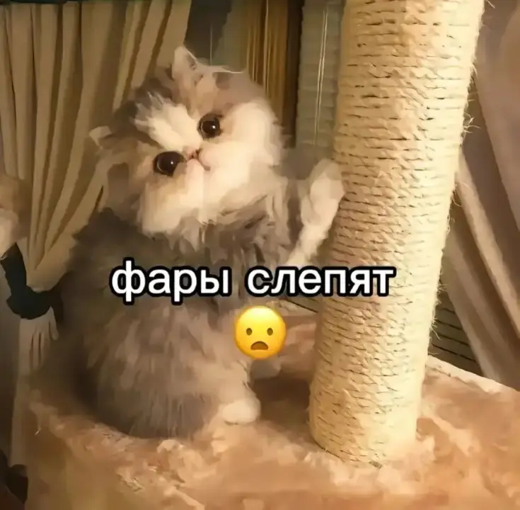 Матиз в ахуе от жизни  #dodge #матиз #car #cars #мем #fyp #рекомендации #рек #fypシ 