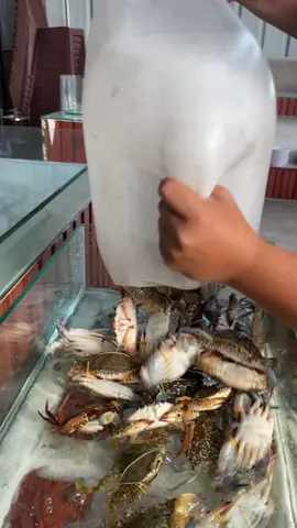 Buffet Vượt sóng Lagi -bình thuân  D/c 108 nguyên công tru Dt 0372537567 #86binhthuan #haisan #monngon #bien #dulich 