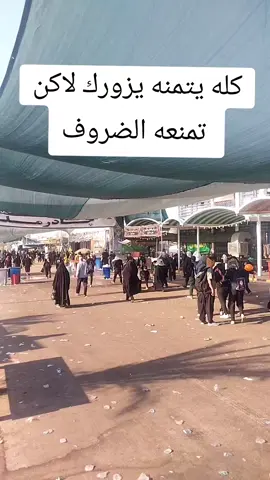 #زياره_الاربعين_مشايه_كربلاء #CapCut #ستوريات_انستا #حسينيات_ستوريات_حالات_واتس #ستوريات_متنوعه 