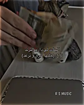 Big fact😒💔✨ • • • • • • • • • • #fypシ #foryou #algeria #maroc #tunisia #ray #rai_dz #raialgerian #paroles_rai #🇩🇿🇲🇦🇹🇳 #reels #virta #fyp #reelsinstagram #instagramreels #instagramreels #reelsmusic #reelsinsta #reelsindia #explore #reelsvideo #2x_lou_loxu #louloxxu #اغاني_حب #خليها_تبرق_وترعد 