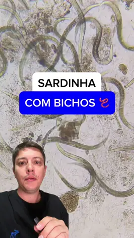 Sardinha com bichos 🪱 #microscopio #alimentos #enlatados #microbiologia #biologia #nutricionista #mundomicro 