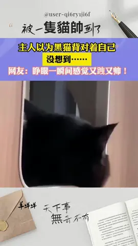 被一隻貓帥到了
