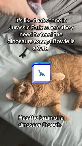 🦕 🦖 