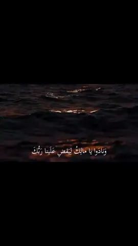 #سورة_الزخرف #ياسر_الدوسري #تدبروا_الايات🤍 #قرآن #🖤آلاء⛓️ #آلاءشريف  #quran_alkarim #القرآن_الكريم  #وما_ظلمناهم_ولكن_كانوا_هم_الظالمين #ام_يحسبون_انا_لا_نسمع_سرهم_ونجواهم 