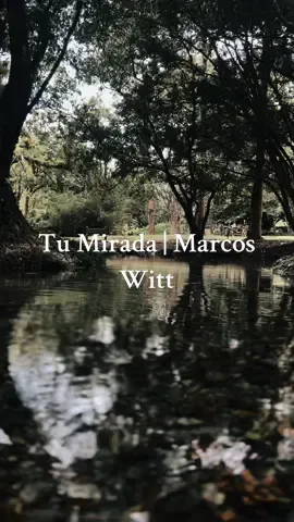 Tu Mirada | Marco Witt  ✝️♥️✝️ #tumirada #jóvenescristianos #adoracion #fyp #alabanza #gospelmusic #estadosparawhatsapp 