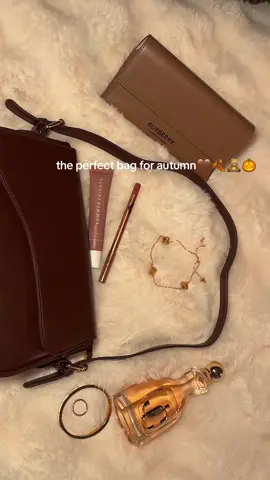 the color is on point 🤎  #fyp #foryoupage #purse #bag #autumn #fall #brown #brownpurse #aesthetic #newyork #newyorkcity #nyc #ny #falloutfits #outfit 
