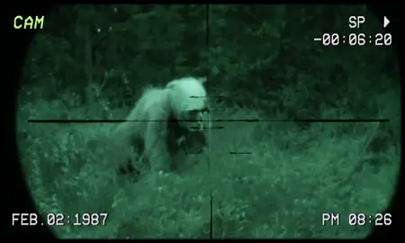 Found Footage in the Forest of the Skinwalkers #horror #scary #foundfootage #nightmarefuel #skinwalkers #vhs #appalachia