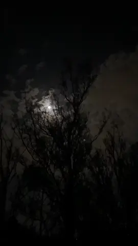 #الا ياقمر ذكرتني واحد مغليه .. 🌙🤍#اكسبلورexplore …