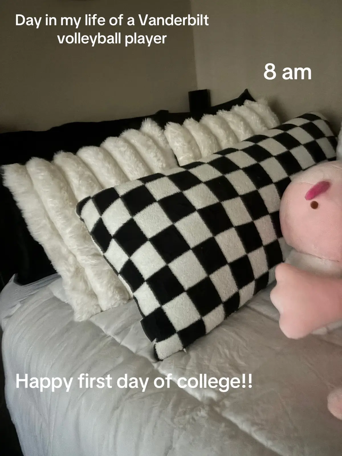 #diml #Vlog #vanderbilt #volleyball #freshman #dorm #college #vandyvolleyball #foryou #nashville #university #goviral 