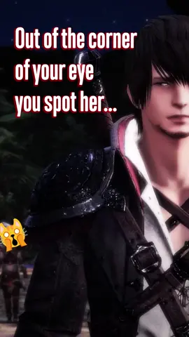 Inspired by a comment thread on r/FFXIV a few weeks ago, a parody of 