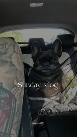 Sunday funday or something like that. Shorts are from @POPFLEX Active 🙌🏼  #Vlog #dayinmylife 