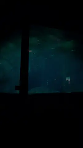 見ているのは私たちだけでは無いかもしれない。魚もまた、私たちをみているのかもしれない。 #雰囲気 #海 #水族館 #クラゲ #儚い #素材 #素材配布 