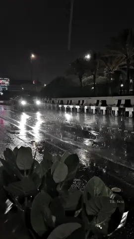 أينسى القَلبُ أياماً لها في عمقِه مجرى ..🍂.                                                                     #explore #tiktok #taif#fyp 