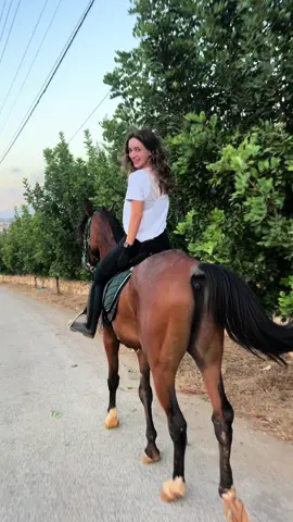 ❤️‍🔥@Romani’s horse riding club #fypシ #خيل_وخياله🐎 #خيل #لبنان #قطر #house #hourselovers #horsegirl #خليج #خيل_عربي_اصيل🐎🐎 