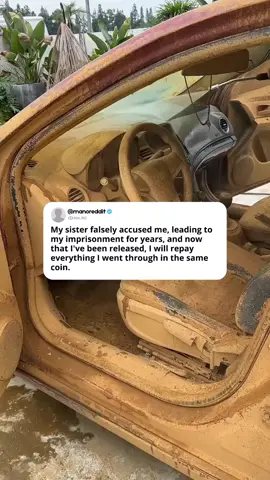 My sister falsely accused me, leading to my imprisonment for years, and now that I've been released, I will repay everything I went through in the same coin. #redditreadings #reddit #stories 