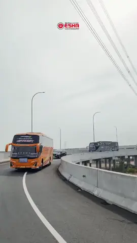 vidio by:eshatravel_jepara #cinematicbus #optimist #hjtintrans_optimis #bus #busmania 