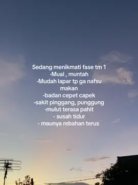 Bumil tm 1 pasti ada yg sama ngerasain fase ini, tp gpp yg penting janin sehatt😇😇 #bumil #bumilhappy #trimester1 