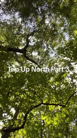 #poconosmountains #poconosgetaway #familytrip #lakehouse #fishtok #fishing #foryou #lakehousevibes #corememory #trailhike 