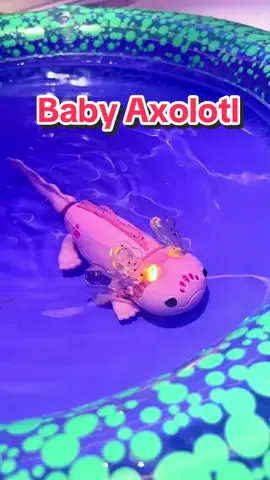 We got to play with the new Baby Axolotl from @Fingerlings at Sweet Suite. @wowweetoys @thetoyinsider  Dive into a magical world of friendship with Fingerlings Baby Axolotl! Alix, the adorable, interactive axolotl swims and lights up in the water. It comes with the pool you see so it has its very own place to swim. Alix is pink with sparkly gills that light up in a rainbow of colors.  Out of water, place your axolotl in your hand to see its tail wag with lights and sounds. Tap its head and your axolotl uses the color of its lights to guess your mood! Out of your hand, your axolotl sings you a song. So many magical sounds and reactions! Love this adorable addition to the Finherlings family.  Available at @target 🛒  #babyaxolotl #fingerlings #axolotl #toycommunity #toyuniverse #toyunboxing #unboxingtoys #toys #sweetsuite24
