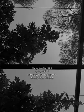 #fyp #muslimtiktok #islamic_video #foryoupage #mother 