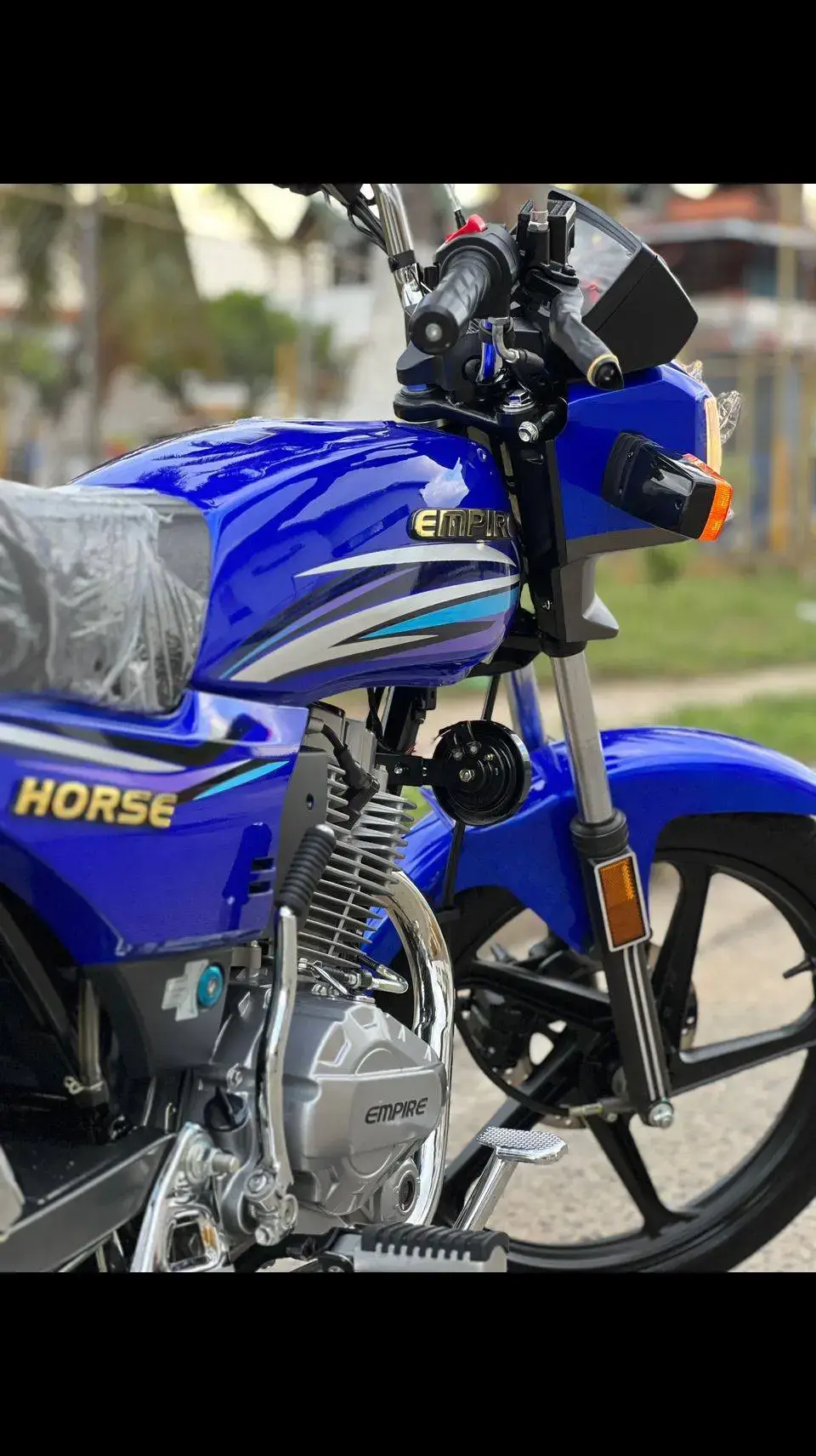 #empire #horse #horserayaslocas😎 #jyp #viral #metas 