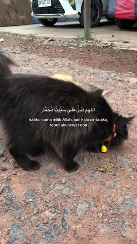 #fypシ゚viral #masukberanda 