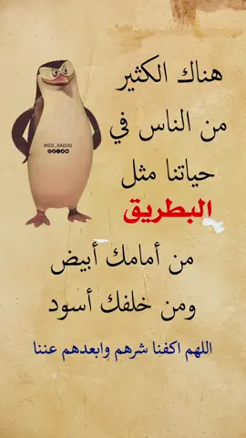 اللهم اكفنا شرهم وابعدهم عنا 🤲🏻 #explore #viral #اكسبلور #fyp #حالات_واتس #ستوريات #med_sadiki #foryou 