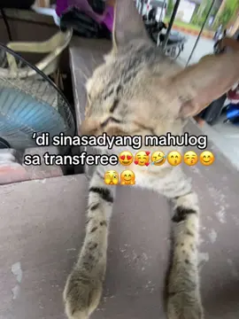 heheh#foryoupage #foryoupage #fypp #fypppp #fypp #foryoupage #foryoupage 