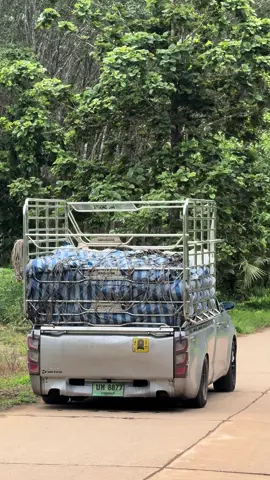 ของนิดเดียวหนักจัง555🤣#รั้วซิ่งเมืองกาญฯ🇹🇭 #อู่ช่างตังค์byบังเต้shop🚚 #กาญจนบุรี☺️💖 #ขึ้นฟีดหน่อย #ทรงนิยม #ฟีดดดシ 