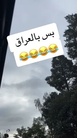بس بالعراق#العراق🇮🇶❤️ #السويد🇸🇪 #اكسبلورexplore #صينيين_مالهم_حل😂😂 #fyp #fypシ #foryou 