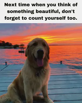 you are truly beautiful gng!! #dog #beautifull #viral #dogsoftiktok #deep #quotes #poetry #hopecore #wisdom #positivity #motivation #inspiration #foryou #fyp #fy 