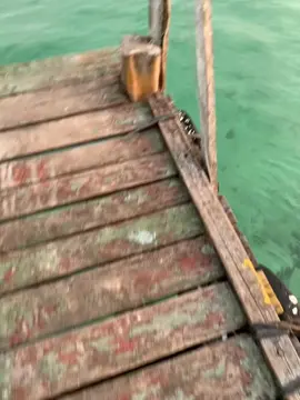 Percuma DXH CREW #fyp #dxhcrew 